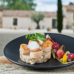 nouvelle carte-restaurant gastronomique Nimes-cuisine gastronomique Nimes-restaurant traiteur Nimes-repas gastronomique Nimes-repas de groupe Nimes-evenements prives et professionnels Nimes-restaurant avec terrasse Nimes-restaurant a Nimes